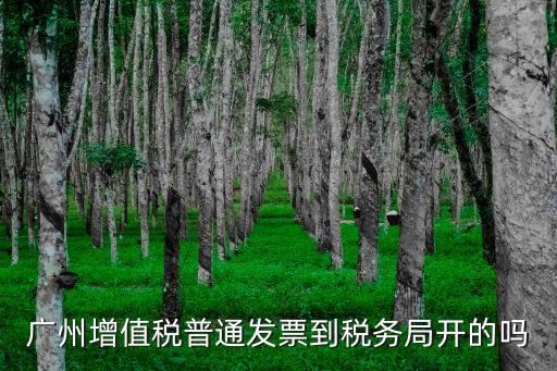 廣州增值稅普通發票到稅務局開的嗎