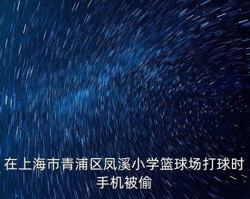 在上海市青浦區鳳溪小學籃球場打球時手機被偷