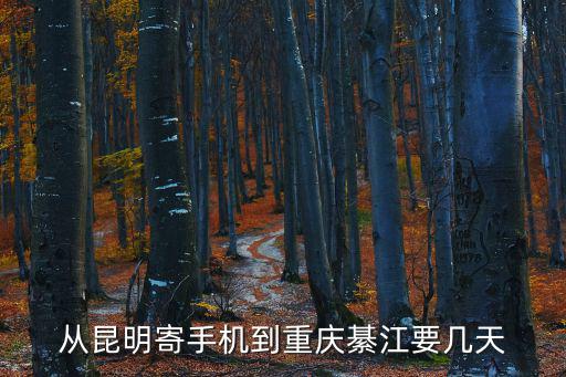 從昆明寄手機到重慶綦江要幾天