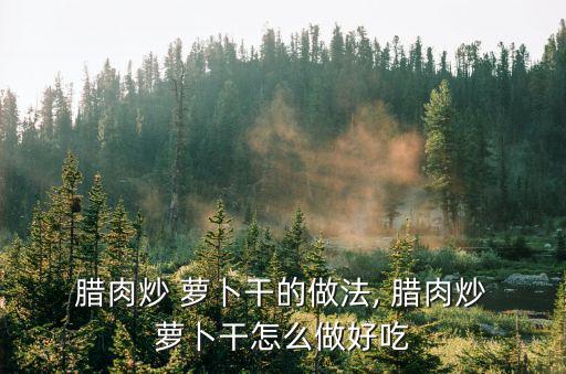  臘肉炒 蘿卜干的做法, 臘肉炒 蘿卜干怎么做好吃