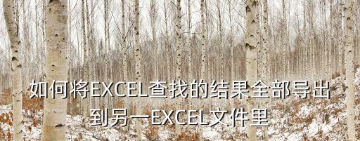 如何將EXCEL查找的結果全部導出到另一EXCEL文件里