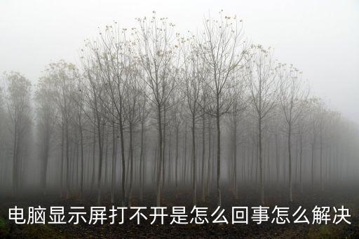 電腦顯示器打不開，電腦顯示屏打不開怎么回事