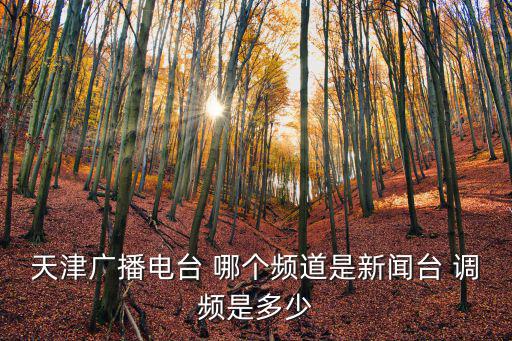 天津廣播電臺 哪個頻道是新聞臺 調(diào)頻是多少