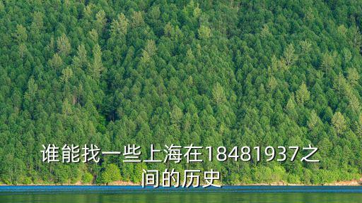 誰能找一些上海在18481937之間的歷史