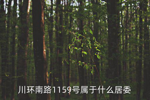 上海市川沙新德一村總戶數(shù)，川環(huán)南路1159號屬于什么居委