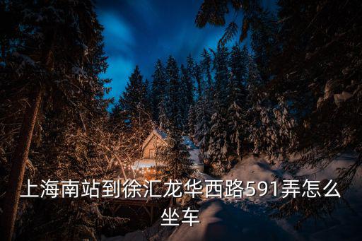 上海南站到徐匯龍華西路591弄怎么坐車