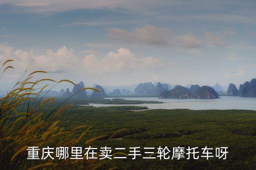 重慶哪里在賣二手三輪摩托車呀
