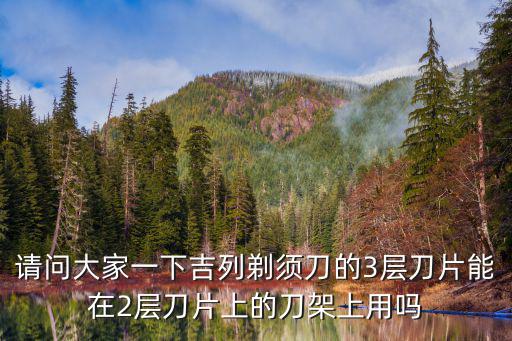 請問大家一下吉列剃須刀的3層刀片能在2層刀片上的刀架上用嗎
