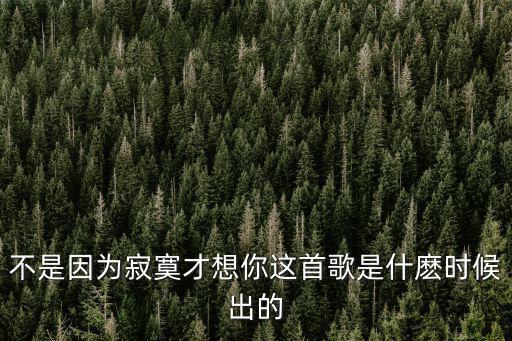 不是因為寂寞才想你，不是因為寂寞才想你這首歌是什麼時候出的