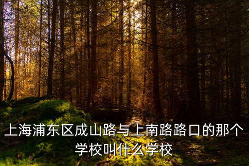 上海浦東區(qū)成山路與上南路路口的那個學(xué)校叫什么學(xué)校