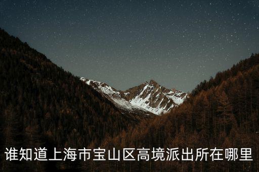 誰知道上海市寶山區(qū)高境派出所在哪里
