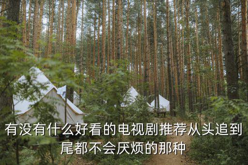 有沒有什么好看的電視劇推薦從頭追到尾都不會厭煩的那種
