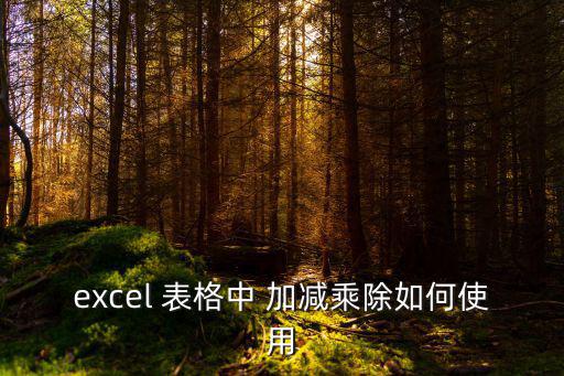 表格公式加減乘除,財富管理軟件怎么用!