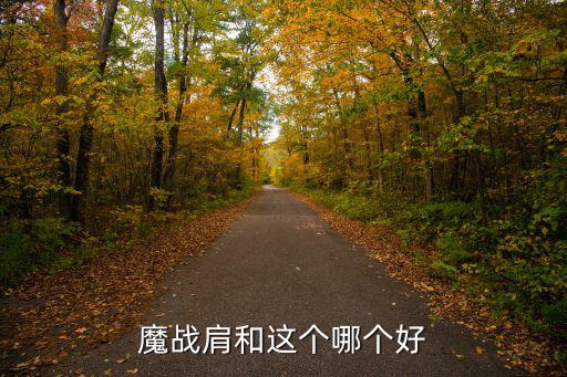 魔戰肩和這個哪個好