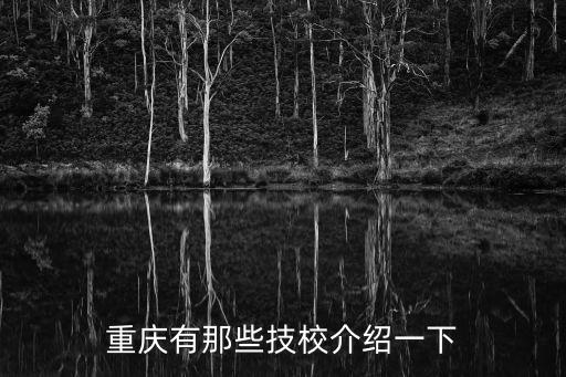 重慶市所有技工學校，重慶有哪些技術學校