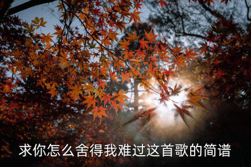 你怎么舍得我難過簡譜，求你怎么舍得我難過這首歌的簡譜