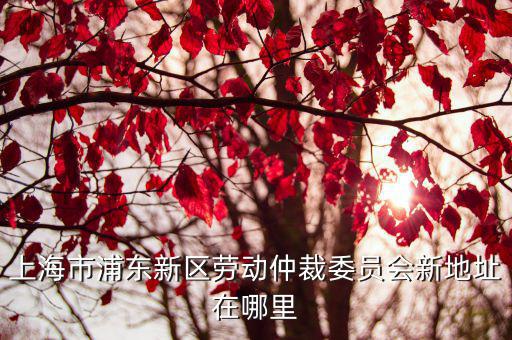 上海市浦東新區勞動仲裁委員會新地址在哪里