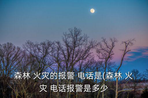 火災(zāi)電話,森林火災(zāi)怎么報警?