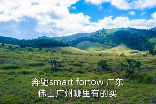 奔馳smart fortow 廣東佛山廣州哪里有的買