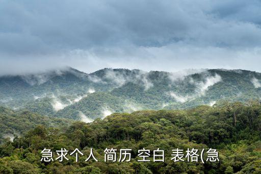 個人簡歷模板空白表格,美國華爾街股市止跌回升