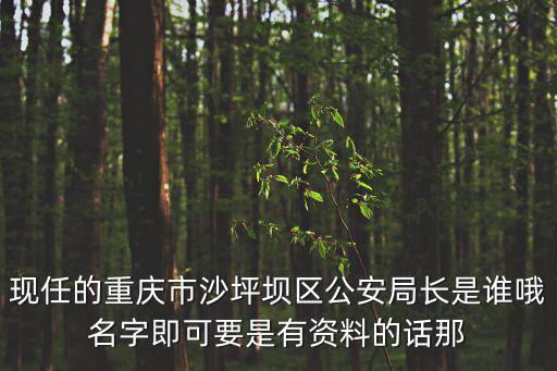 現(xiàn)任的重慶市沙坪壩區(qū)公安局長(zhǎng)是誰(shuí)哦名字即可要是有資料的話那