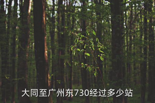 大同至廣州東730經過多少站