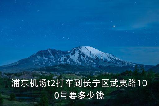 從浦東機場到上海市武夷路，去上海晚上22點多浦東機場下飛機到長寧區武夷路155號漢庭坐什么便宜