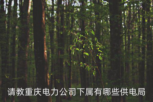 重慶市電力公司安保部主要領導有哪些，重慶市電力局