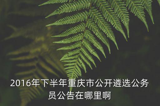 2016年下半年重慶市公開(kāi)遴選公務(wù)員公告在哪里啊
