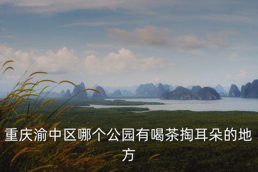 重慶渝中區哪個公園有喝茶掏耳朵的地方