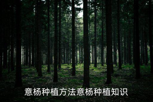 意楊種植方法意楊種植知識