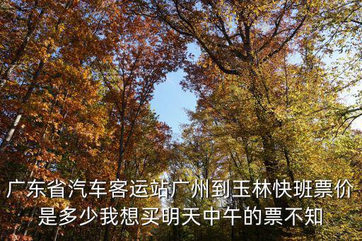 廣州到田林汽車票價，廣州汽車票價