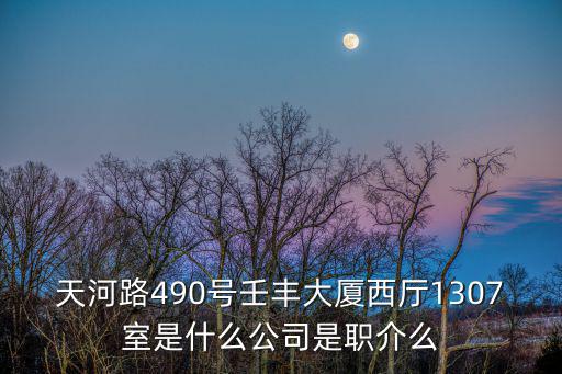 天河路490號壬豐大廈西廳1307室是什么公司是職介么