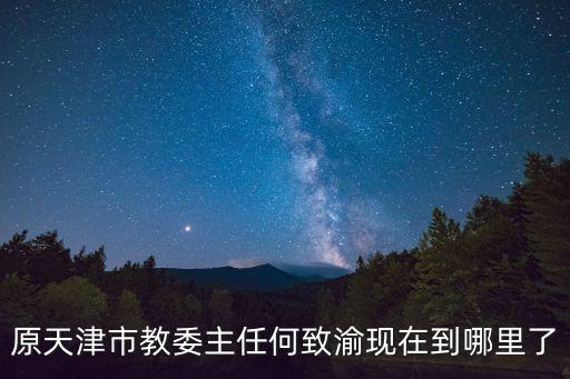 天津市菏澤商會石志剛，原天津市教委主任何致渝現在到哪里了