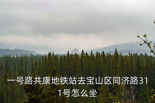 一號路共康地鐵站去寶山區同濟路311號怎么坐