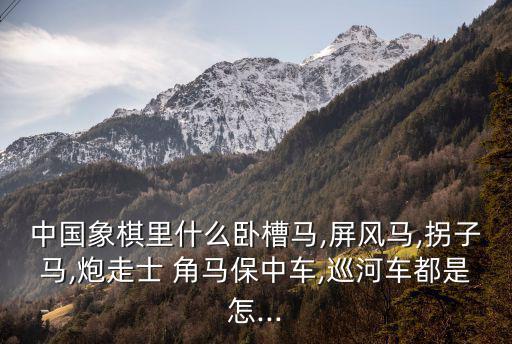 中國象棋里什么臥槽馬,屏風馬,拐子馬,炮走士 角馬保中車,巡河車都是怎...