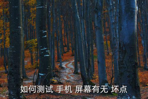 如何測試 手機 屏幕有無 壞點