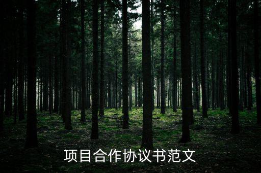 項(xiàng)目合作協(xié)議書范文