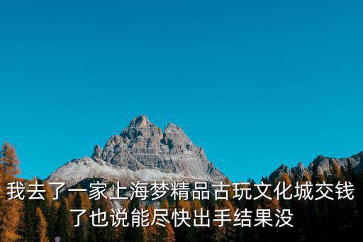 我去了一家上海夢精品古玩文化城交錢了也說能盡快出手結果沒