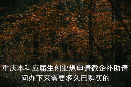 重慶本科應屆生創業想申請微企補助請問辦下來需要多久已購買的