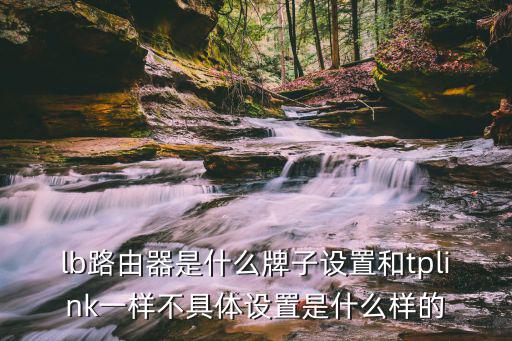 lb路由器是什么牌子設置和tplink一樣不具體設置是什么樣的