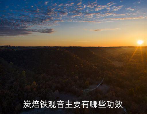 炭焙鐵觀音的功效，鐵觀音的功效與作用