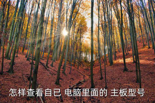 電腦主板怎么看,這些主板的型號有哪些?