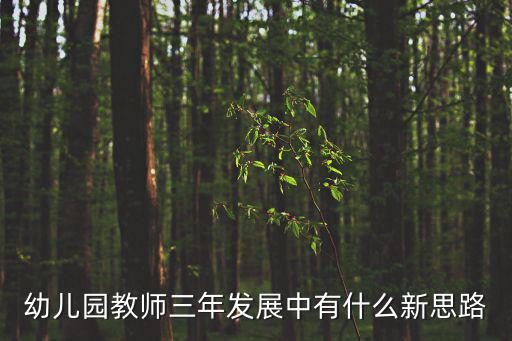 幼兒園教師三年發展中有什么新思路