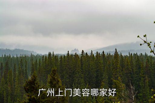 廣州上門美容哪家好