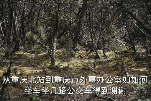 重慶市外事辦公室文件，重慶市外事辦的地址和工作時(shí)間