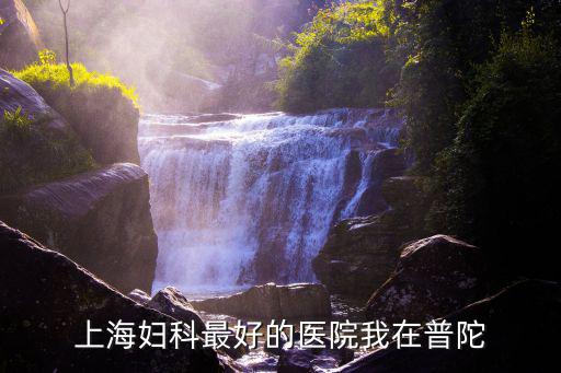 上海婦科最好的醫院我在普陀