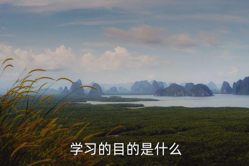 學(xué)習(xí)的目標(biāo),學(xué)習(xí)要有正確的學(xué)習(xí)目標(biāo)