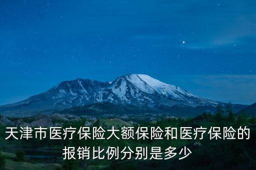 天津市醫療保險大額保險和醫療保險的報銷比例分別是多少