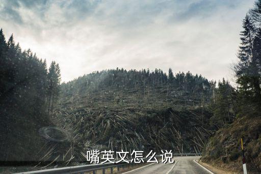 嘴英文怎么說